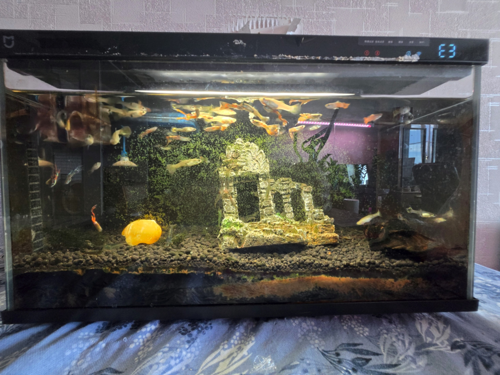Xiaomi Mijia Smart Fish Tank MYG100
